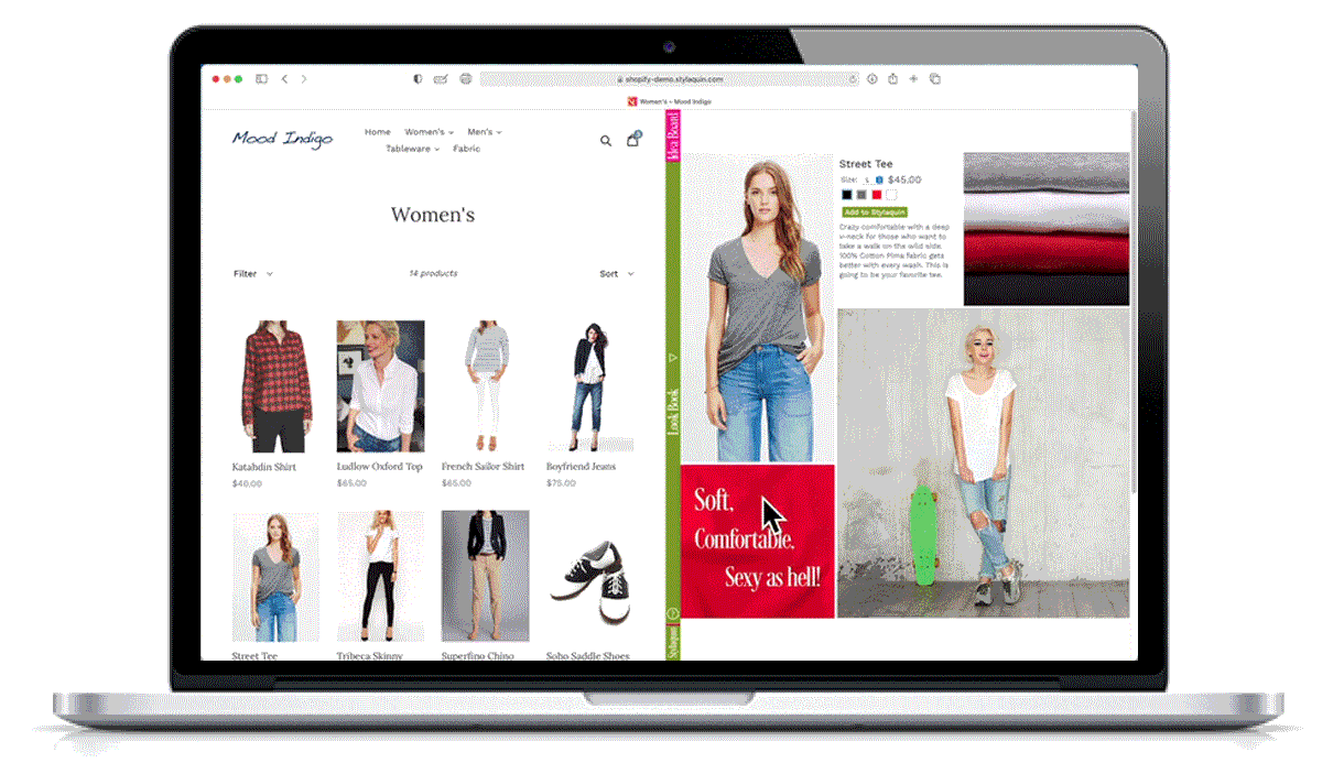 Image of computer showing the Stylaquin Look Book feature.
